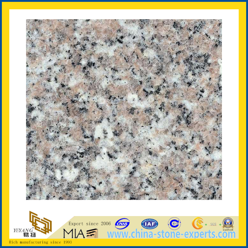 Polished Red G633 Granite Slabs for Countertops (YQZ-G1024)