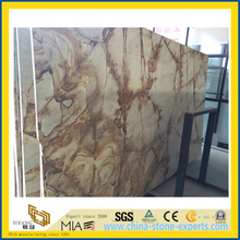 Polished Retro Roma Fantasy Marble Slab for Book-Matched