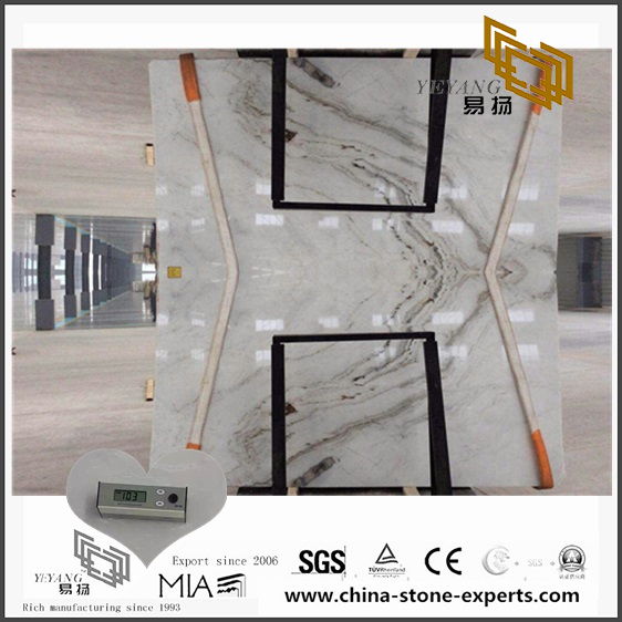 Quality Arabescato Venato White Marble for Kitchen Countertop with Cheap Cost(YQW-MSA070609）