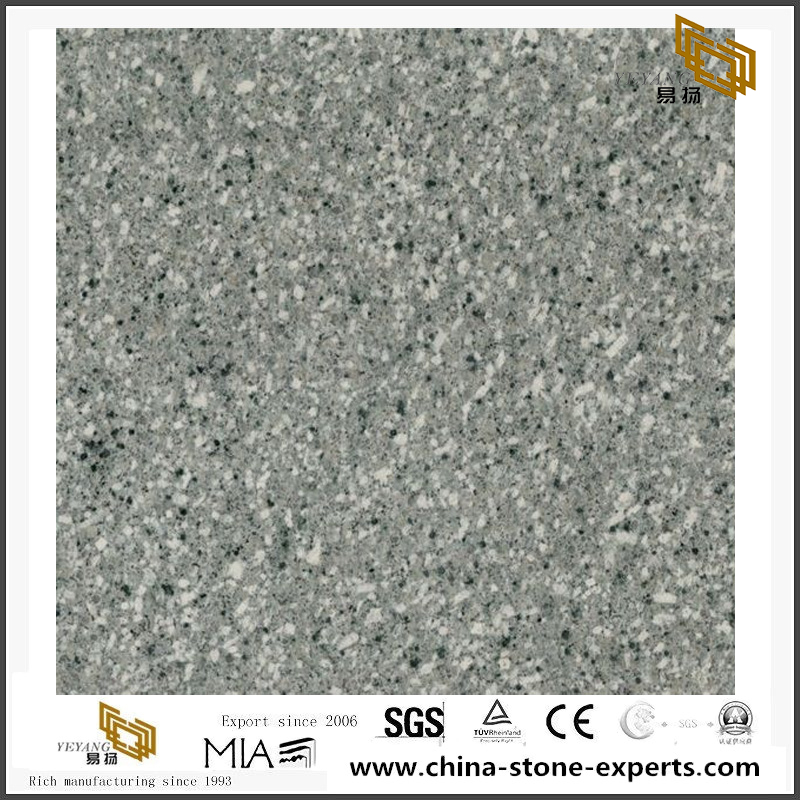 Polished G650 Granite Small Tiles For Outdoor