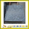 Imported Blue Granite Tiles for Floor -Blue Pearl (YQG-GT1042)