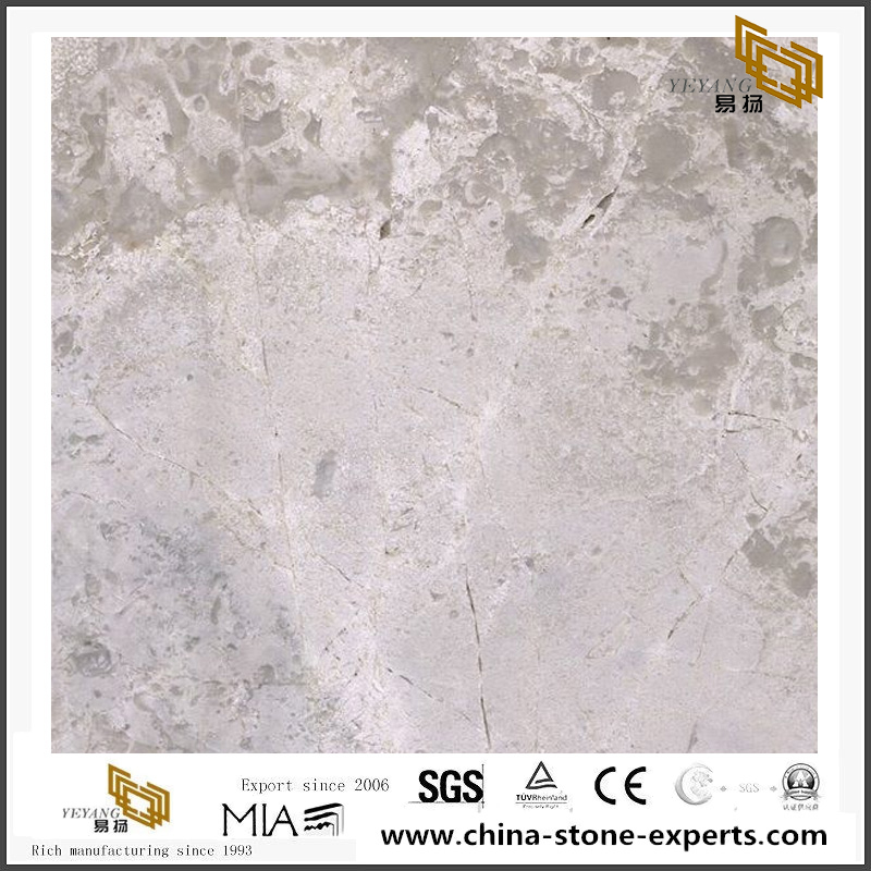 Daisy Grey Marble For Marble Design Tiles