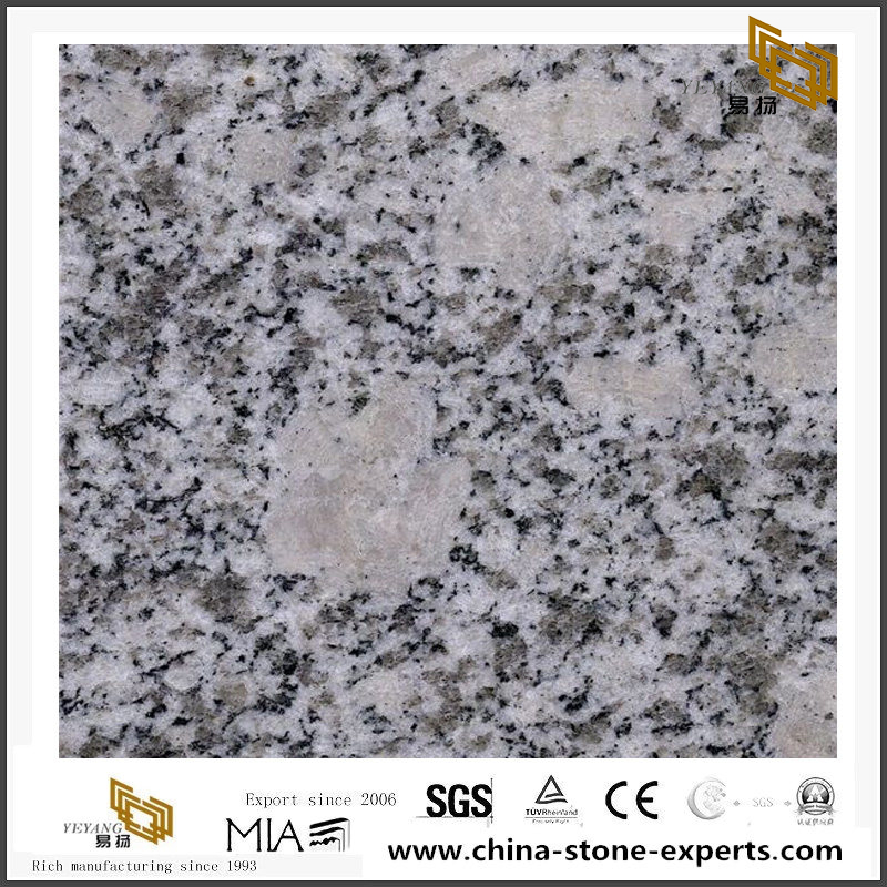 White Granite Sunset Grey Granite Slab & Tile