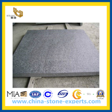 Flamed G684 Black Basalt Tiles for Paving, Wall and Floor (YQW-BT100211)