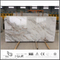  New Arabescato Venato White Marble for Indoor Backgrounds (YQW-MSA21011)