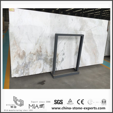 Multi Color New Polished Arabescato Venato White Marble for Floor Tiles (YQW-MSA0621013)