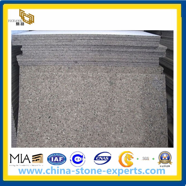 G636 Granite Slabs & Tiles, China Pink Granite (YQA-GT1026)