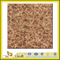Polished Juhua Yellow Slabs for Flooring Tile (YQZ-G1042)
