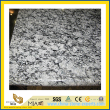 Polished Grey Spray White Granite Slab for Wall/Floor (YQC)