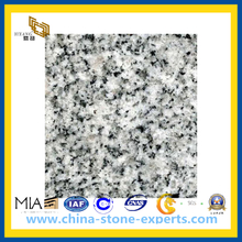 Bella White Bacuo Jinjiang Granite Slabes for Kitchen Countertop (YQZ-GS)