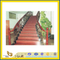 Stepping Stones, Marble Stairs, Granite Staircase, Stone Steps (YQA)