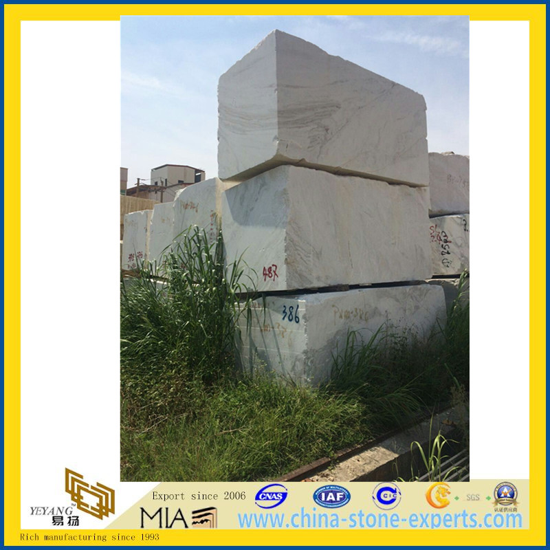 Castro White Marble Slab for Floor &amp; Wall Tiles (YYL)