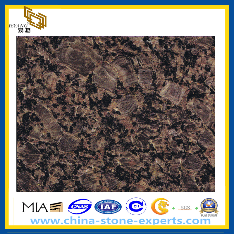 Cofe Bahia Brown Granite Slab for Countertop (YQZ-GS)