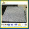 Granit natursteinfliesen (YQA-GT1039)