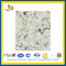 Quartz Stone Bath Granite Countertop (YQG-CV1017)