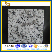 Cheap Bala White Natural Stone Granite Tile (YQZ-GT)