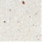 Greyish White (YQ5824)