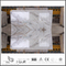 Charming New Arabescato Venato White Marble Slab for Bathroom Countertop (YQW-MSA21013)