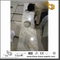 Popular Andromeda White Granite Counter tops for Bath Decor (YQW-GC0714017)