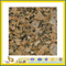 Natural Polished Giallo Fiorito Granite Tile for Wall/Flooring (YQC)