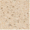 Starfish White (YQ1600)