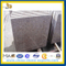 G611 Chinese Cheap Granite Tiles,Slabs,Step,Skirting,Surface Polished,With the Edge Finished,Nature Stone(YQA-GT1023)