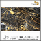 Portoro Gold Marble for interior design （YQN-092803）