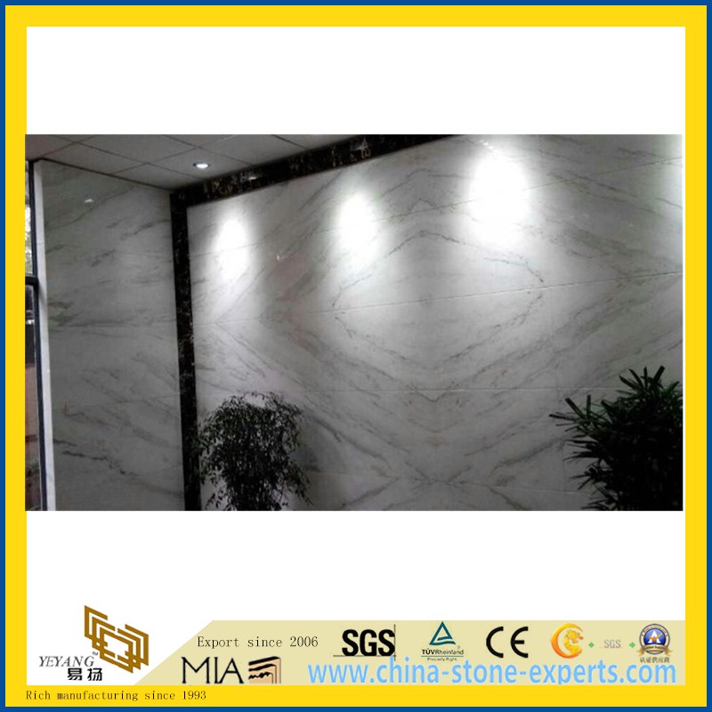 Castro White Marble Building Decorative Material for Construction Floor / Wall