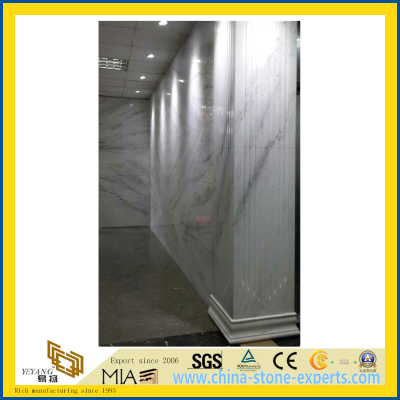 Chinese Castro White Marble Slab for Wall and Flooring