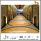 Interior Design Gold Coast Marble for Background（YQN-082906） 