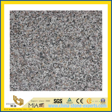 Polished Natural Stone Grey G623 Granite Slab for Wall/Floor (YQC)