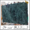 Custom Verde Alpi Marble for Wall Backgrounds & Floor Tiles （YQN-092609）