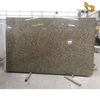 Chrysanthemum yellow granite stone yellow natural stone slabs at good price