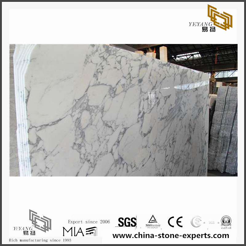 Arabescato White marble for interior design （YQN-092604）