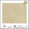 Perlato Svevo Marble for Wall Backgrounds & Floor Tiles（YQN-092207）