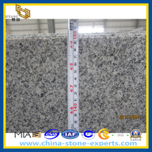 Cheap White Natural Stone Granite Slab (YQZ-GS)