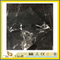 New Black Polished Stone Marble for Kitchen &amp; Bathroom Wall/Flooring Tile