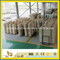 Natural Roman Beige Travertine for Cut-to-Size Slab or Floor Tile