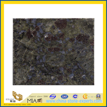 Polished Butterfly Blue Granite Tiles/Slabs (YQZ-GT)
