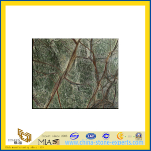 Rain Forest Green Marble Slab/ Tile(YQC)