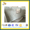 New River White Granite for Bathroom/ Vanity Top / Kithchen Top(YQG-GC1107)