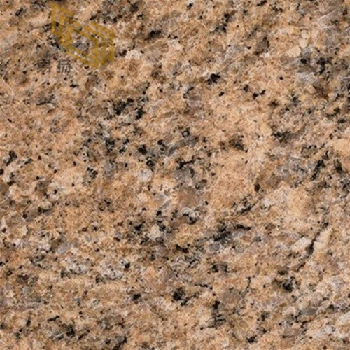 Giallo Veneziano-Granite Colors | Imported Giallo Veneziano Granite for Kitchen& Bathroom Countertops
