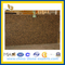 Baltic Brown Granite Slab for Countertop / Vanity Top (YQZ-GS1021)