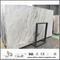 Cheap New Polished Arabescato Venato White Marble for Floor Tiles (YQW-MSA0621015)
